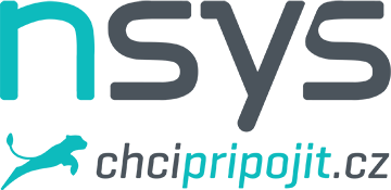 Logo "N_SYS s.r.o."